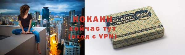тгк Горняк