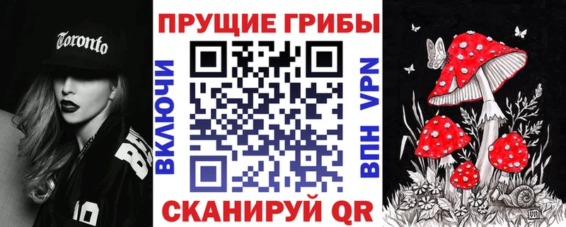 Псилоцибиновые грибы GOLDEN TEACHER  маркетплейс как зайти  Зеленогорск 